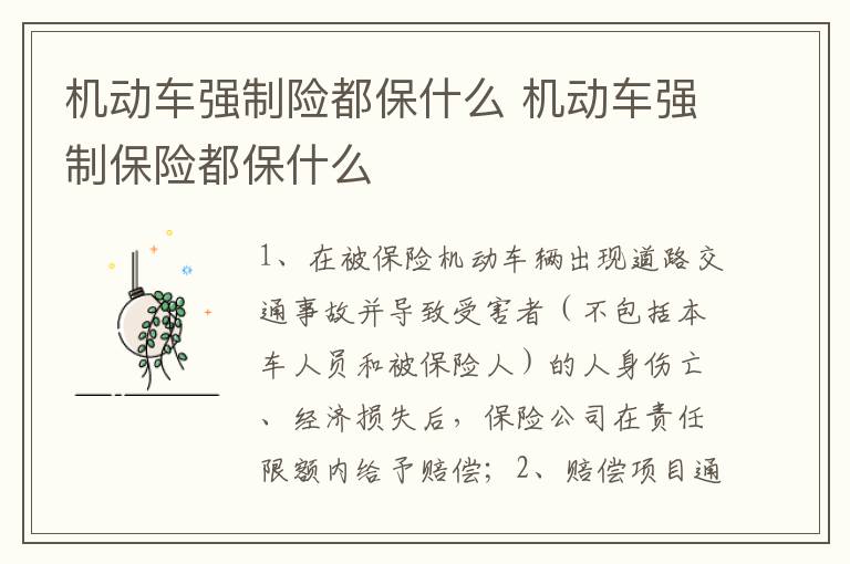 机动车强制保险都保什么 机动车强制险都保什么