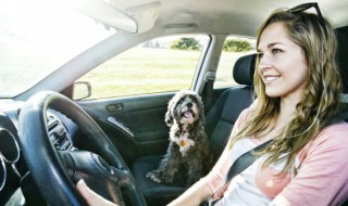 汽车的空调氟多久加一次 汽车空调多久加一次氟多少钱