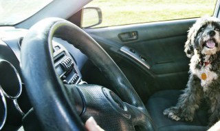 汽车空调多久加一次氟多少钱 汽车空调多久加一次氟