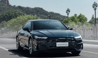 奥迪q3后减震器拆装流程 奥迪q33.5前减震器怎么拆