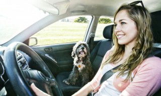 奥迪a4亮黄灯是什么意思 奥迪a4灯亮是什么意思