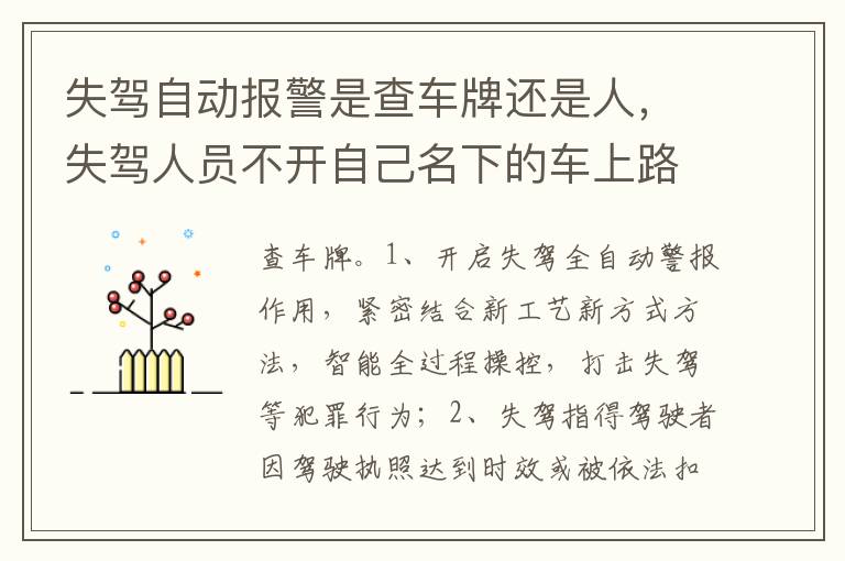 失驾人员不开自己名下的车上路会查出来吗 失驾自动报警是查车牌还是人