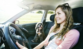 车里可以挂玉坠吗 车上放玉的饰品可以吗