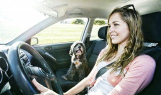 车标是saab是什么车 saab是什么车