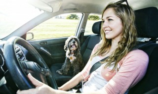 奥迪有c6吗 奥迪c6是什么意思