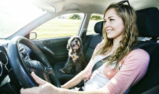 奥迪娱乐静音了怎么开 奥迪娱乐声音怎么打开