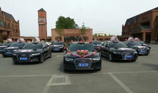 奥迪夸错是什么 奥迪夸纯是什么意思