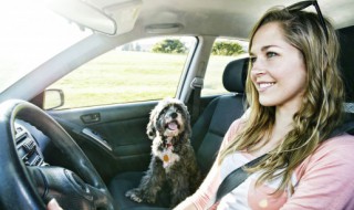 奥迪35t是什么意思 奥迪35tsi什么意思