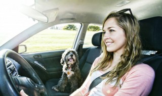 奥迪是一汽吗 一汽奥迪是什么意思