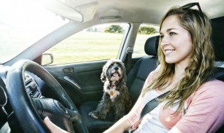 奥迪a4电子水泵保险丝在哪里 奥迪a4abs回流泵保险丝在哪