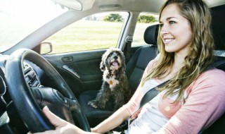 新款奥迪a6l音响怎么调 奥迪a6l新车音响怎么调