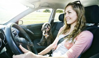 奥迪a8w12是什么 奥迪a8w12什么意思