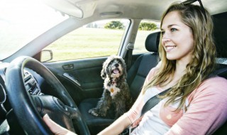 15款奥迪a4l油耗显示设置 2011奥迪a4l油耗怎么调