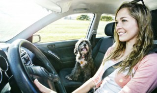 奥迪a4启动机在哪 奥迪a4启动图标在哪