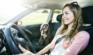 奥迪a6l后座头枕如何调整 奥迪a6车头枕如何调