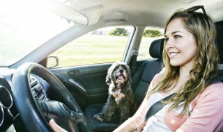 蒙迪欧方向盘加热怎么开启 奥迪方向盘加热如何开启