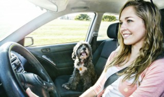 奥迪a4l下摆臂怎么拆 奥迪a4l下摆臂拆卸方法