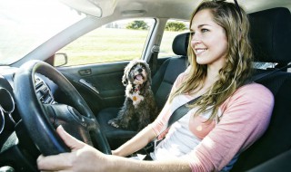 奥迪a6l使用教程 24年奥迪a6l使用技巧