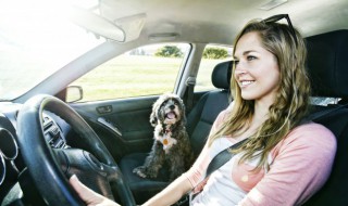 q5l 报警 奥迪q5l报警如何取消