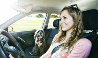 奥迪a6l装升降高音效果怎么样 奥迪a6l升降高音效果如何