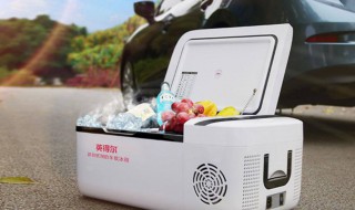 车载冰箱放雪糕会不会化 车载冰箱可以放雪糕吗