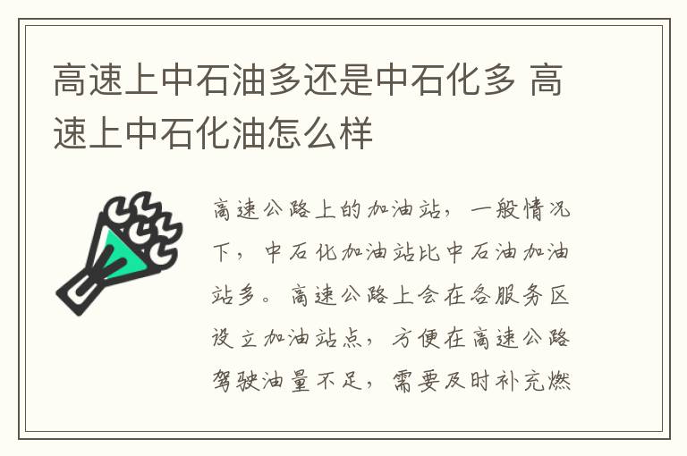 高速上中石化油怎么样 高速上中石油多还是中石化多