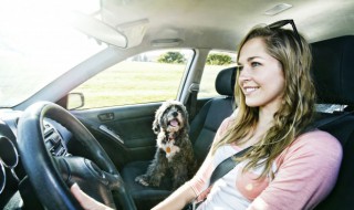 奥迪a6拆蒸发箱用不用拆仪表台 奥迪a6拆蒸发箱步骤