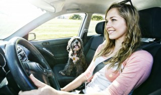 奥迪a6显示屏突然断电怎么回事 奥迪a6全车停电什么原因