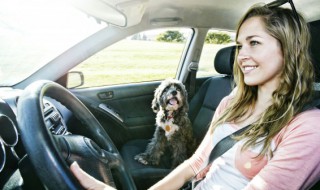 奥迪a6顶棚渗水原因 奥迪a6天棚下陷怎么回事