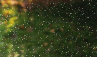 下雨了刹车盘生锈 奥迪刹车盘下雨生锈怎么回事