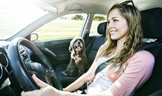 奥迪a4怎么看油量 新款奥迪a4如何看油耗