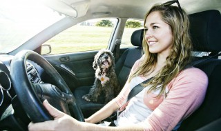 奥迪的灯亮不亮 奥迪大灯突然不亮是什么原因