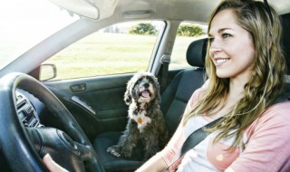 奥迪车驾驶操作指南 奥迪驾驶技巧大全