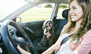 奥迪a6尾部的数字是什么意思 奥迪尾段如何看出是a6还是s6