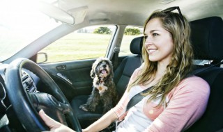 奥迪q3中控系统更新 奥迪q3中控如何升级