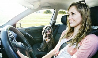 奥迪A6操控 如何操控奥迪a6更合理