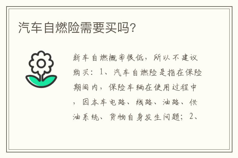 汽车自燃险需要买吗 汽车自燃险需要买吗