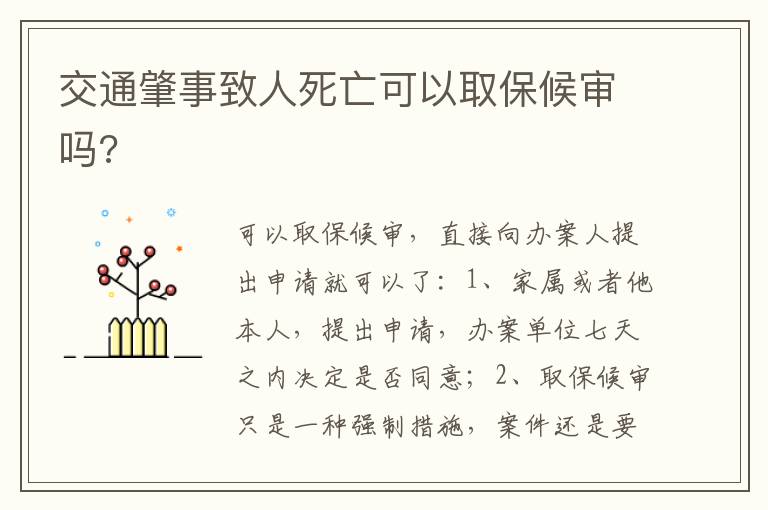 交通肇事致人死亡可以取保候审吗 交通肇事致人死亡可以取保候审吗