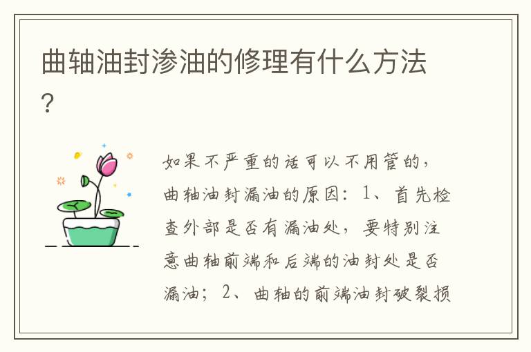 曲轴油封渗油的修理有什么方法 曲轴油封渗油的修理有什么方法