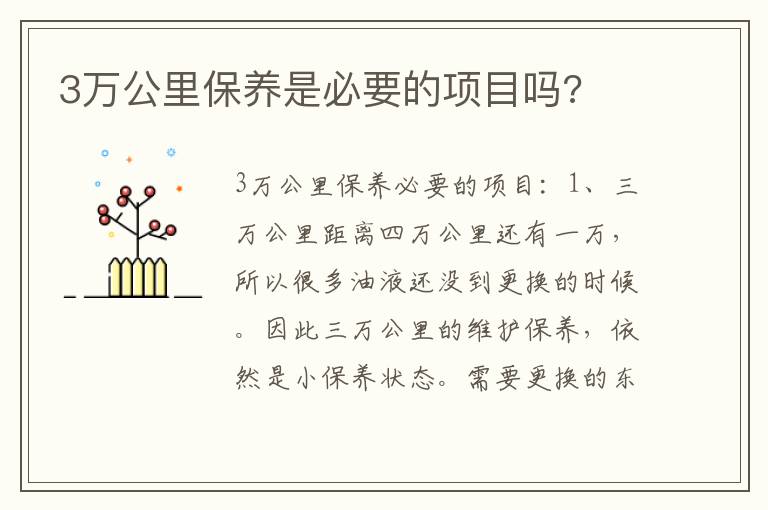 3万公里保养是必要的项目吗 3万公里保养是必要的项目吗