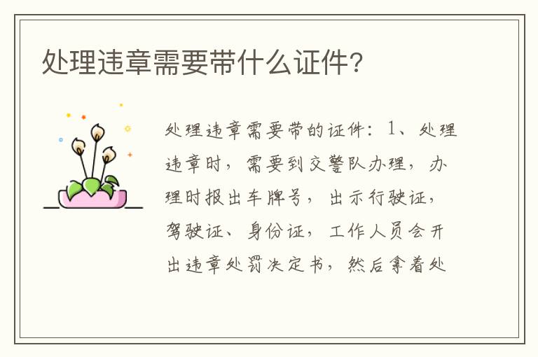 处理违章需要带什么证件 处理违章需要带什么证件
