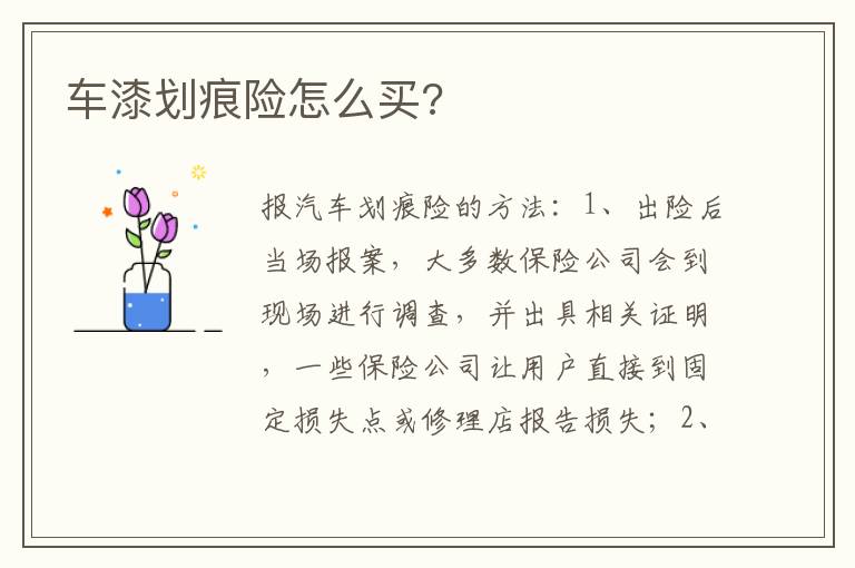 车漆划痕险怎么买 车漆划痕险怎么买