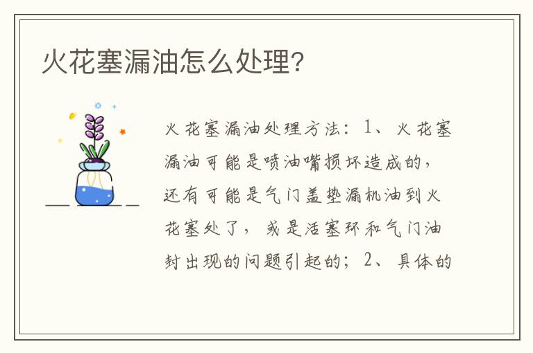 火花塞漏油怎么处理 火花塞漏油怎么处理