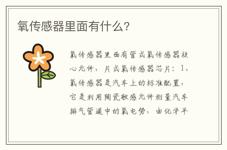 氧传感器里面有什么 氧传感器里面有什么