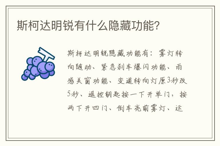 斯柯达明锐有什么隐藏功能 斯柯达明锐有什么隐藏功能