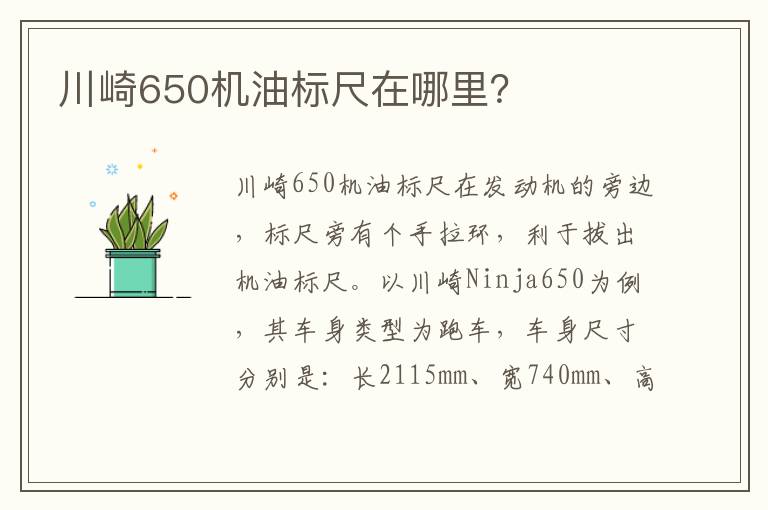 川崎650机油标尺在哪里 川崎650机油标尺在哪里