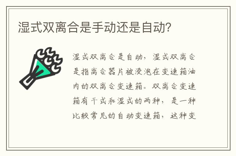 湿式双离合是手动还是自动 湿式双离合是手动还是自动