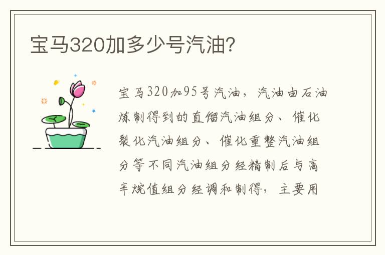 宝马320加多少号汽油 宝马320加多少号汽油