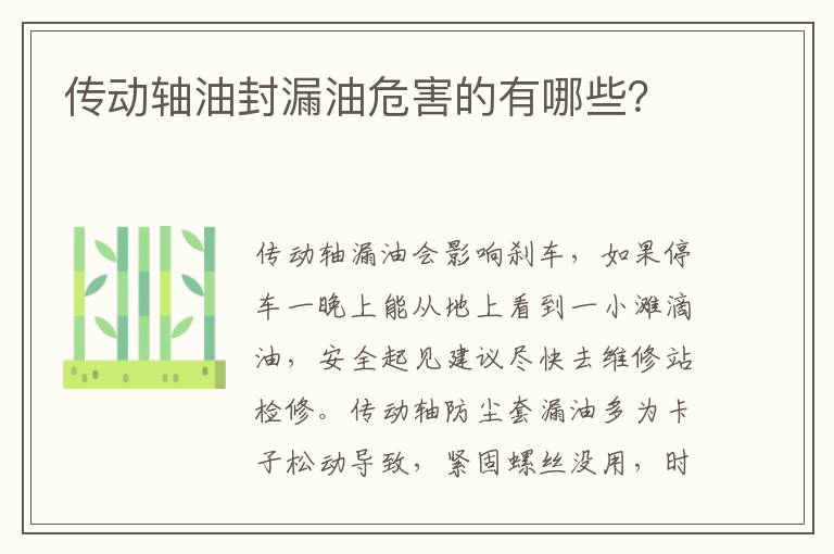 传动轴油封漏油危害的有哪些 传动轴油封漏油危害的有哪些