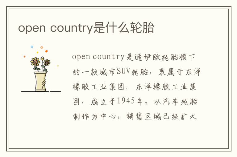 country是什么轮胎 open